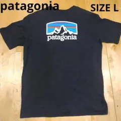 patagonia パタゴニア  Tシャツ SIZE L