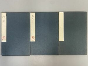 AR511「画帖」3帖 折帖 (検骨董書画掛軸巻物拓本金石拓本法帖古書和本唐本漢籍書道中国