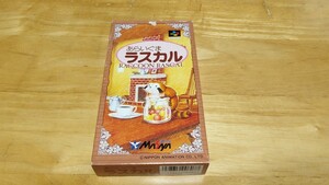 ★SFC「あらいぐまラスカル(RACCOON RASCAL)」箱・取説・ハガキ付き/Masaya/スーパーファミコン/SUPER FAMICOM/PZL/パズル/レトロゲーム★