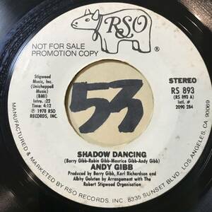 試聴 ANDY GIBB SHADOW DANCING STEREO EX/ MONO VG++ 