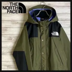 【美品 名作】NORTH FACE マウンテンパーカー ゴアテックス 希少