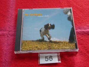 CD／The Cardigans／Emmerdale／カーディガンズ／エマーデイル／管056