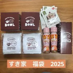 すき家　2025 茶碗 ステンレスボトル ハンドタオル 辛口ソース