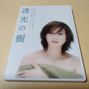 DVD【透光の樹】秋吉久美子/永島敏行　監督:根岸吉太郎 セル版