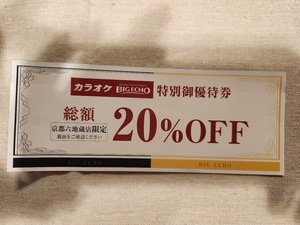 カラオケ　ビッグエコー京都六地蔵店　★　特別ご優待券　総額20％OFF　クーポン　＝2025年1月31日まで＝