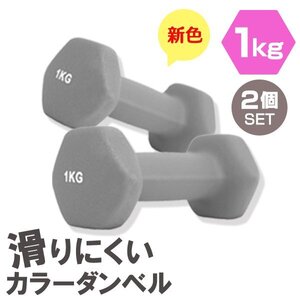 【2個セット/ダークグレー】滑りにくい カラー ダンベル 1kg 筋トレ エクササイズ 宅トレ シンプル ウエイトトレーニング ダイエット 新品