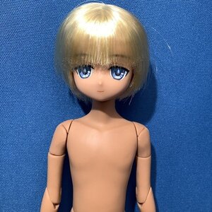 1/6ドール　Alvastaria　ヴィンス～海辺の少年～(通常販売ver.) ピュアニーモフレクション フル可動Sボディ男の子(褐色) 本体のみ　タン