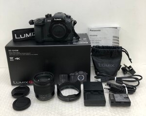 Panasonic パナソニック ミラーレス一眼 デジタルカメラ LUMIX DC-GH5M 標準ズームレンズキット 12-60mm F3.5-5.6 241211SK230379