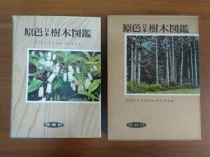 原色日本樹木図鑑　保育社　昭和34年発行