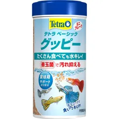 【特別価格】（まとめ）テトラ ベーシック グッピー 60g 熱帯魚用フード 【×5セット】【代引不可】