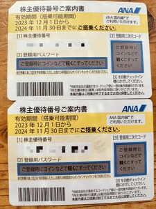 ANA株主優待券　2枚　有効期限2024年11月30日　☆番号通知のみ