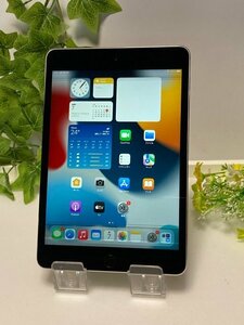 iPad Mini 4 Wi-Fi版 128GB スペースグレイMK9N2J/A A1538 ※パネル浮き 訳あり 動作可 ☆彡 Y222