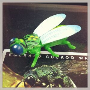 FIG-ken1894 ＹＯＷiＥ ヤウイ 1-24 Emerald Cuckoo Wasp