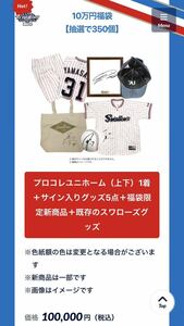 【期間限定】東京ヤクルトスワローズ、2023年、10万円福袋、選手仕様ユニフォーム（上下）他、グッズ多数