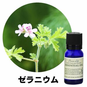 フレーバーライフ エッセンシャルオイル ゼラニウム 10ml 精油 アロマ アロマオイル リラックス 自律神経 ストレス 整える 効果