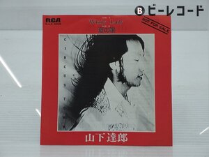 【見本盤】山下達郎「Windy Lady/夏の陽」EP（7インチ）/RCA(SJLD-3005)/シティポップ