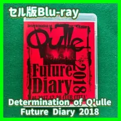 送料無料 24時間以内発送 セル版Blu-ray Determination