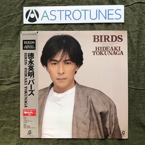 傷なし美盤 1987年 徳永英明 Hideaki Tokunaga LPレコード バーズ Birds 帯付 輝きながら