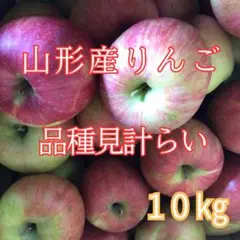 r16 山形産りんご　品種見計らい 10kg 3580→2980円訳あり家庭用