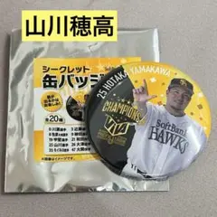 山川穂高　パリーグ優勝缶バッチ　缶バッジ　ソフトバンクホークス