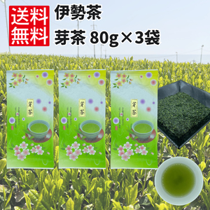 日本茶 緑茶 煎茶 お茶 【芽茶（真粉）80g×3袋】