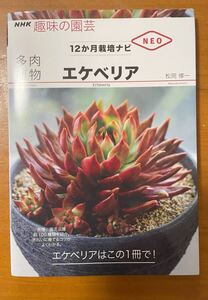 趣味の園芸　12か月栽培ナビ　多肉植物 エケべリア