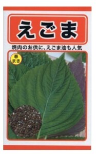 えごま 種子 種 葉菜 野菜のたね 家庭園芸