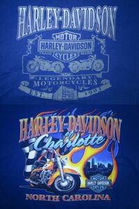00s Harley Davidson ハーレーダビッドソン ★ USA製 Tシャツ 2007 ブルー ツーホース ファイヤー フラッグ