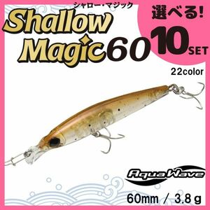 コーモラン アクアウェーブ ソルトルアー ハードルアー シャローマジック60 Shallow Magic60 選べる10セット