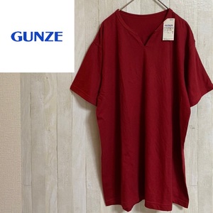 GUNZE★グンゼ★メンズ コットンブレンド Tシャツ カットソー★サイズL　D-55　