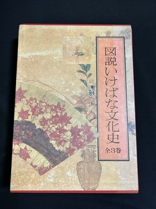 『図説いけばな文化史・いけばなの誕生・いけばな様式の成立・近代いけばなの発展・3冊 視覚的要素を重視し豊富な資料と諸図版が充実』