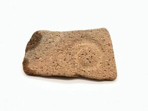 【ペトロ遺跡　陶片集】　ヨルダン　世界遺産　ビザンチン時代　　 　　　L0325F