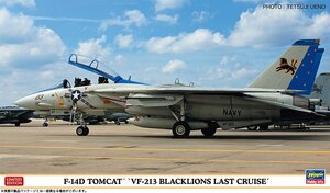 ハセガワ 02406 1/72 F-14D トムキャット “VF-213 ブラックライオンズ ラストクルーズ” 