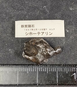 鉄質隕石 ( シホーテアリン ） ② シホテアリン（Sikhote-Alin） 産地 ロシア 極東