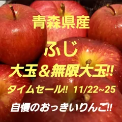 ★期間限定★青森県産 ふじ りんご 大＆無限大玉 家庭用 6~8玉 ㊺