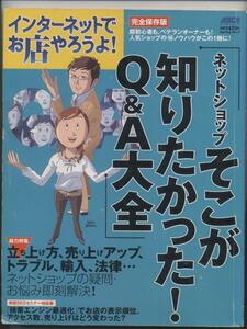 ※配送料無料※　インターネットでお店やろうよ! 　そこが知りたかったQ＆A大全　