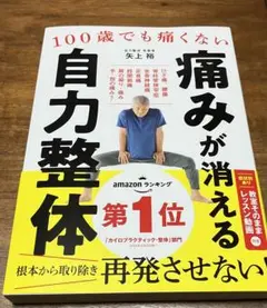 100歳でも痛くない痛みが消える自力整体