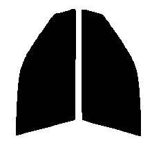 ハーフスモーク　７６％ 運転席、助手席　プリメーラ　セダン　P11 　カット済みフィルム