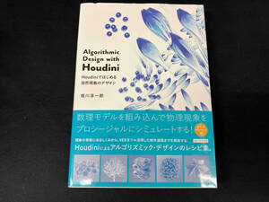 Houdiniではじめる自然現象のデザイン Algorithmic Design with Houdini 堀川淳一郎