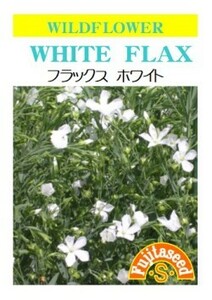 ＜花の種＞フラックス・ホワイト 　１ｍｌ　約９０粒　白いアマ　４種郵便にて発送