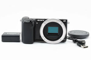 【完動美品】超人気 SONY ソニー NEX-5T ボディ