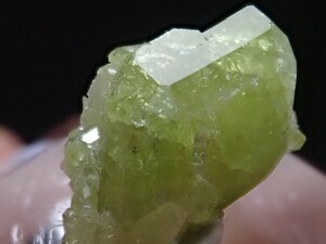 【宝石質】大結晶　ベスビアナイト　ベスブ石　原石　標本