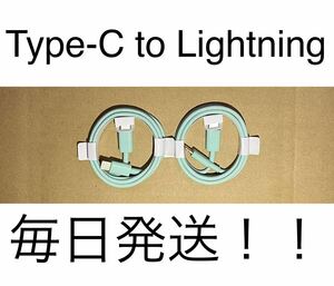 2本 マカロンカラー Type-C to Lightningケーブル グリーン 1m 急速充電 充電器 iPhone USB 高品質 タイプC ライトニング typec