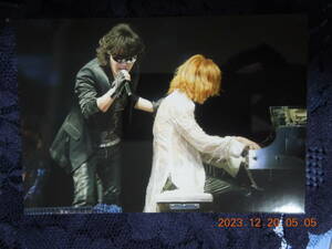 Toshl YOSHIKI ブロマイド ⑫ / TOSHI 龍玄とし / X JAPAN 生写真