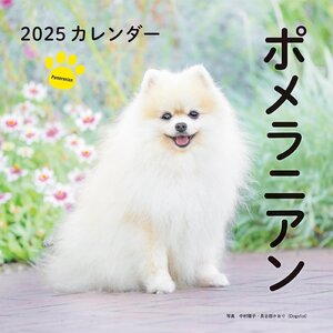 2025年カレンダー ポメラニアン (誠文堂新光社カレンダー)