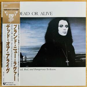 LP■EUROBEAT/HI-NRG/DEAD OR ALIVE/MAD, BAD, AND DANGEROUS TO KNOW/EPIC 28 3P-769/国内86年ORIG OBI 帯 美品/デッド・オア・アライヴ