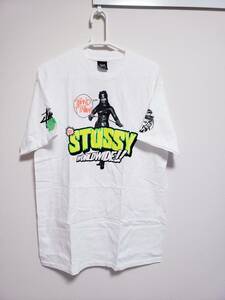 【送料無料】STUSSY ステューシー WORLD WIDE STAND FIROM Tシャツ M 白/フォトnycビンテージ 周年 Anniversary ローラ ワールドツアーsk8