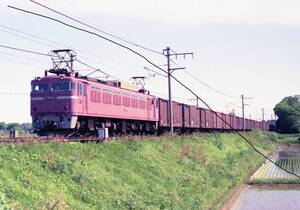 国鉄時代　EF81　東北本線5枚　羽越本線2枚(画質難有り)　計7枚　データをメール添付かCD-Rで。