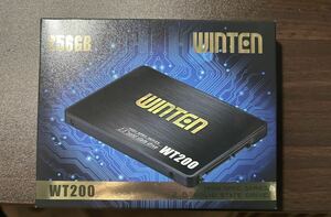 winten SSD WT200 256GB