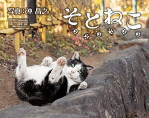 カレンダー2025 そとねこ（月めくり/壁掛け） (インプレスカレンダー2025)